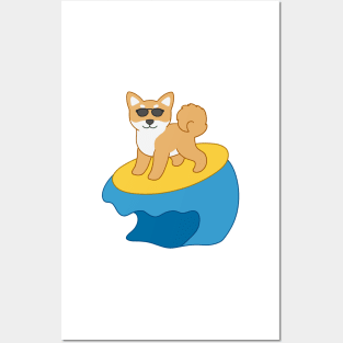 Shiba Inu on surfboard Posters and Art